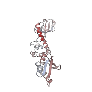10322_6swc_9_v1-0
IC2B model of cryo-EM structure of a full archaeal ribosomal translation initiation complex devoid of aIF1 in P. abyssi
