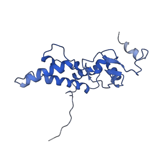 10322_6swc_D_v1-0
IC2B model of cryo-EM structure of a full archaeal ribosomal translation initiation complex devoid of aIF1 in P. abyssi