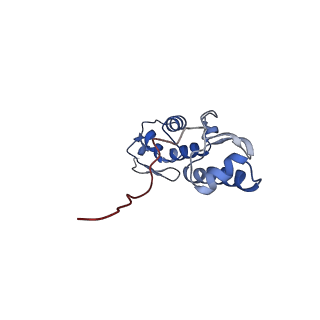 10322_6swc_O_v1-0
IC2B model of cryo-EM structure of a full archaeal ribosomal translation initiation complex devoid of aIF1 in P. abyssi