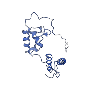 10322_6swc_Q_v1-0
IC2B model of cryo-EM structure of a full archaeal ribosomal translation initiation complex devoid of aIF1 in P. abyssi