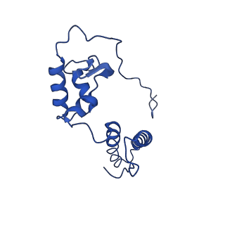 10323_6swd_Q_v1-0
IC2 body model of cryo-EM structure of a full archaeal ribosomal translation initiation complex devoid of aIF1 in P. abyssi