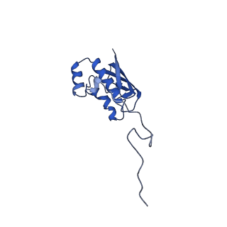 10324_6swe_K_v1-0
IC2 head of cryo-EM structure of a full archaeal ribosomal translation initiation complex devoid of aIF1 in P. abyssi