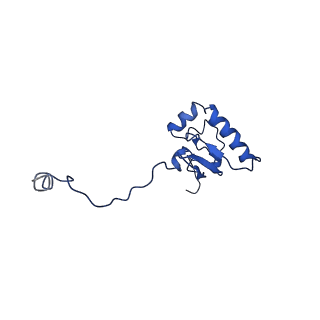 10324_6swe_T_v1-0
IC2 head of cryo-EM structure of a full archaeal ribosomal translation initiation complex devoid of aIF1 in P. abyssi
