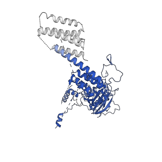 10333_6swy_1_v1-0
Structure of active GID E3 ubiquitin ligase complex minus Gid2 and delta Gid9 RING domain