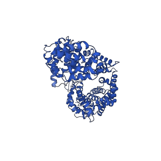 10333_6swy_5_v2-0
Structure of active GID E3 ubiquitin ligase complex minus Gid2 and delta Gid9 RING domain