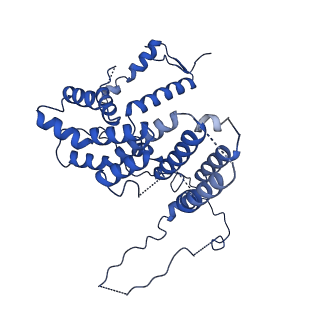 10333_6swy_8_v1-0
Structure of active GID E3 ubiquitin ligase complex minus Gid2 and delta Gid9 RING domain