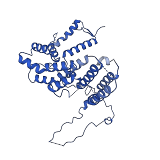 10333_6swy_8_v2-0
Structure of active GID E3 ubiquitin ligase complex minus Gid2 and delta Gid9 RING domain