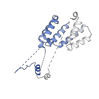 10333_6swy_9_v1-0
Structure of active GID E3 ubiquitin ligase complex minus Gid2 and delta Gid9 RING domain