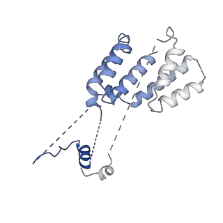 10333_6swy_9_v2-0
Structure of active GID E3 ubiquitin ligase complex minus Gid2 and delta Gid9 RING domain