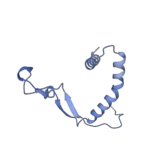 25471_7swd_B_v1-0
Structure of EBOV GP lacking the mucin-like domain with 1C11 scFv and 1C3 Fab bound