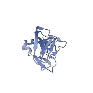 25471_7swd_C_v1-0
Structure of EBOV GP lacking the mucin-like domain with 1C11 scFv and 1C3 Fab bound