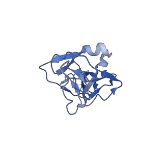 25471_7swd_E_v1-0
Structure of EBOV GP lacking the mucin-like domain with 1C11 scFv and 1C3 Fab bound