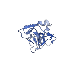 25471_7swd_E_v2-0
Structure of EBOV GP lacking the mucin-like domain with 1C11 scFv and 1C3 Fab bound