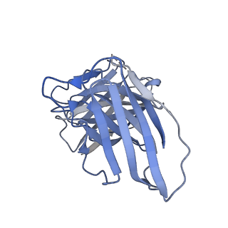 25471_7swd_G_v1-0
Structure of EBOV GP lacking the mucin-like domain with 1C11 scFv and 1C3 Fab bound