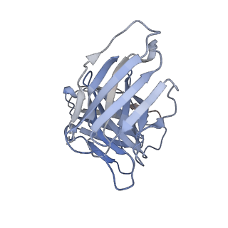 25471_7swd_H_v1-0
Structure of EBOV GP lacking the mucin-like domain with 1C11 scFv and 1C3 Fab bound