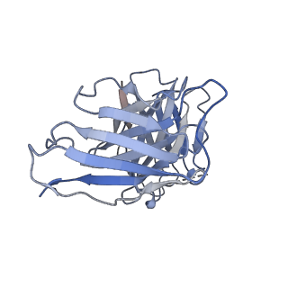 25471_7swd_I_v1-0
Structure of EBOV GP lacking the mucin-like domain with 1C11 scFv and 1C3 Fab bound