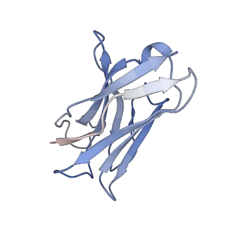 25471_7swd_J_v1-0
Structure of EBOV GP lacking the mucin-like domain with 1C11 scFv and 1C3 Fab bound