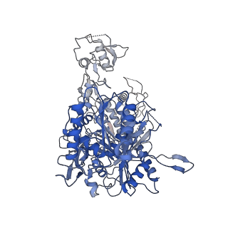 25472_7swf_A_v1-1
Cryo-EM structure of Arabidopsis Ago10-guide-target RNA complex in a central duplex conformation