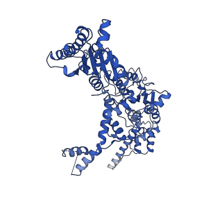 25474_7swl_B_v1-1
CryoEM structure of the N-terminal-deleted Rix7 AAA-ATPase