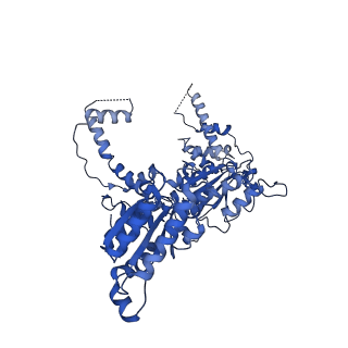 25474_7swl_D_v1-1
CryoEM structure of the N-terminal-deleted Rix7 AAA-ATPase