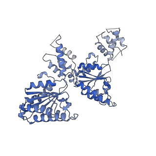25474_7swl_E_v1-1
CryoEM structure of the N-terminal-deleted Rix7 AAA-ATPase