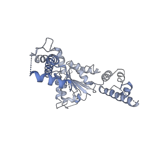 25474_7swl_F_v1-1
CryoEM structure of the N-terminal-deleted Rix7 AAA-ATPase