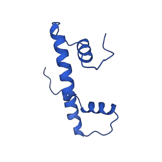25479_7swy_B_v1-1
2.6 A structure of a 40-601[TA-rich+1]-40 nucleosome