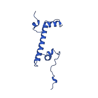25479_7swy_C_v1-1
2.6 A structure of a 40-601[TA-rich+1]-40 nucleosome