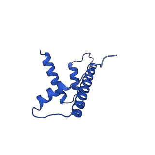 25479_7swy_D_v1-1
2.6 A structure of a 40-601[TA-rich+1]-40 nucleosome