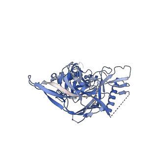 40810_8sw7_A_v1-0
BG505 Boost2 SOSIP.664 in complex with NHP polyclonal antibody FP1