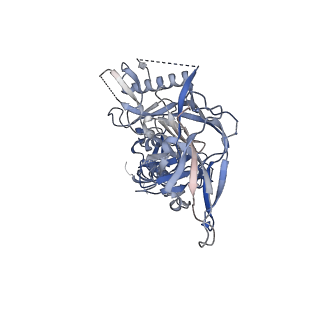 40810_8sw7_C_v1-0
BG505 Boost2 SOSIP.664 in complex with NHP polyclonal antibody FP1