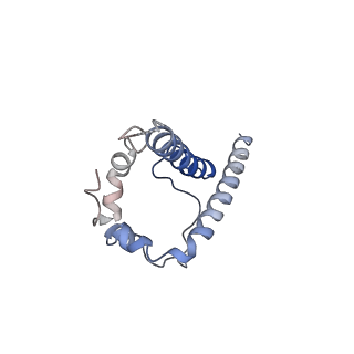 40810_8sw7_D_v1-0
BG505 Boost2 SOSIP.664 in complex with NHP polyclonal antibody FP1