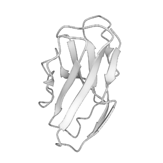 40810_8sw7_L_v1-0
BG505 Boost2 SOSIP.664 in complex with NHP polyclonal antibody FP1