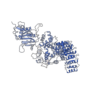 40811_8swf_A_v1-0
Cryo-EM structure of NLRP3 open octamer