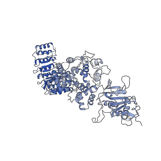 40811_8swf_B_v1-0
Cryo-EM structure of NLRP3 open octamer