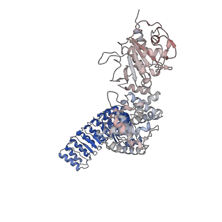 40811_8swf_C_v1-0
Cryo-EM structure of NLRP3 open octamer