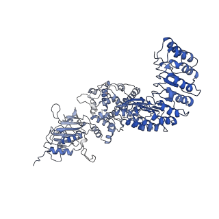 40811_8swf_D_v1-0
Cryo-EM structure of NLRP3 open octamer