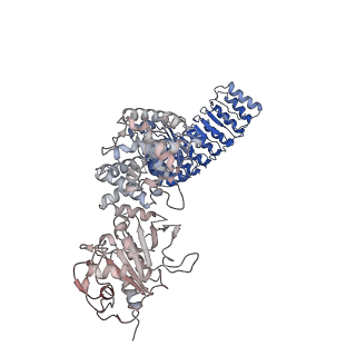 40811_8swf_E_v1-0
Cryo-EM structure of NLRP3 open octamer