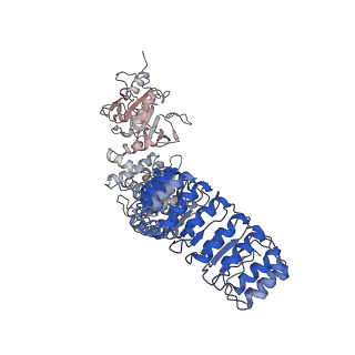 40811_8swf_F_v1-0
Cryo-EM structure of NLRP3 open octamer