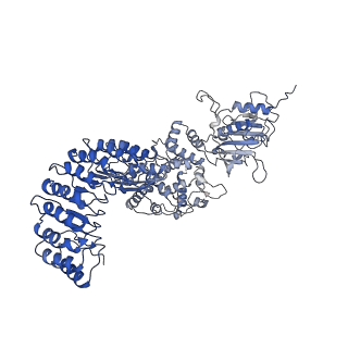 40811_8swf_G_v1-0
Cryo-EM structure of NLRP3 open octamer