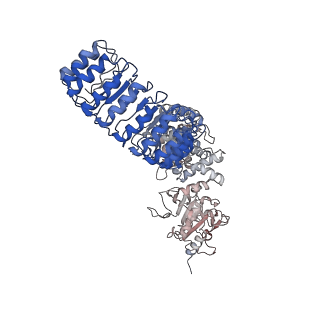 40811_8swf_H_v1-0
Cryo-EM structure of NLRP3 open octamer