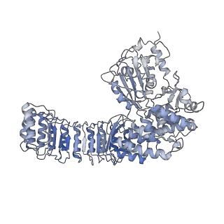 40820_8swk_A_v1-0
Cryo-EM structure of NLRP3 closed hexamer
