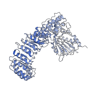 40820_8swk_B_v1-0
Cryo-EM structure of NLRP3 closed hexamer