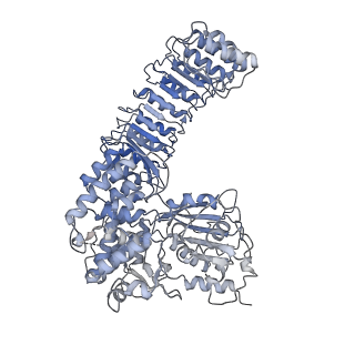 40820_8swk_C_v1-0
Cryo-EM structure of NLRP3 closed hexamer