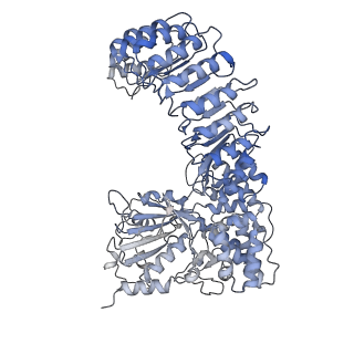 40820_8swk_D_v1-0
Cryo-EM structure of NLRP3 closed hexamer