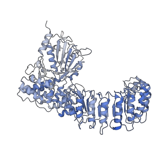 40820_8swk_E_v1-0
Cryo-EM structure of NLRP3 closed hexamer