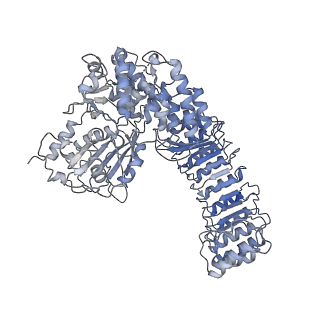 40820_8swk_F_v1-0
Cryo-EM structure of NLRP3 closed hexamer