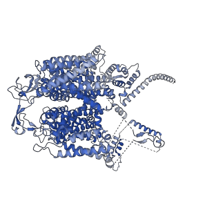 25492_7sx3_A_v1-1
Human NALCN-FAM155A-UNC79-UNC80 channelosome with CaM bound, conformation 1/2
