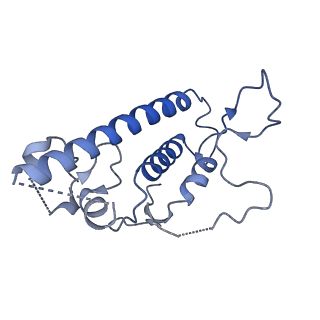 25492_7sx3_B_v1-1
Human NALCN-FAM155A-UNC79-UNC80 channelosome with CaM bound, conformation 1/2