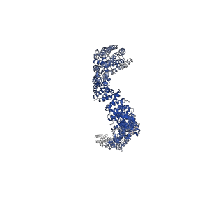 25492_7sx3_D_v1-1
Human NALCN-FAM155A-UNC79-UNC80 channelosome with CaM bound, conformation 1/2